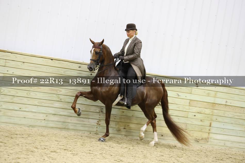 Proof 22R13_13891
