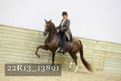 22R13_13891 proof