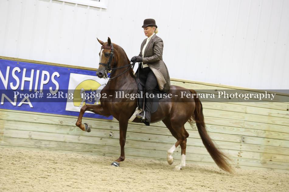 Proof 22R13_13892