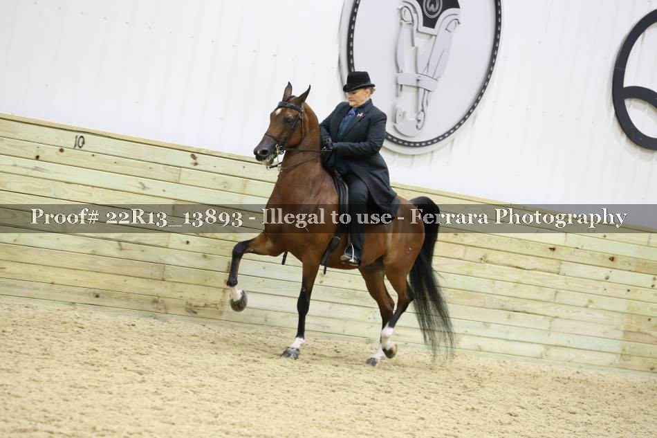 Proof 22R13_13893