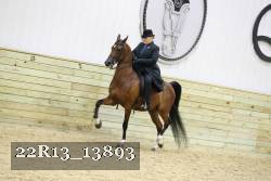 22R13_13893 proof