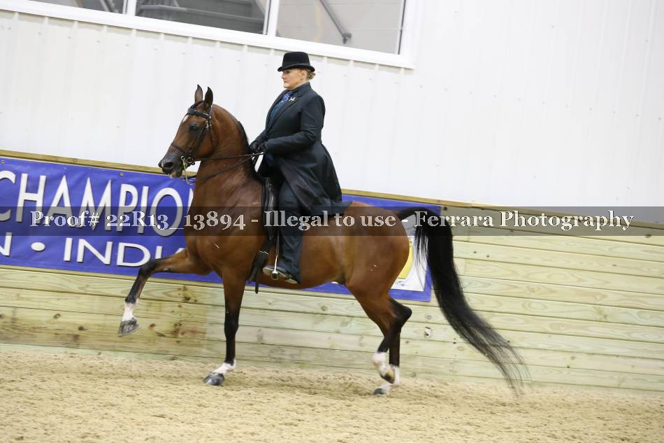 Proof 22R13_13894