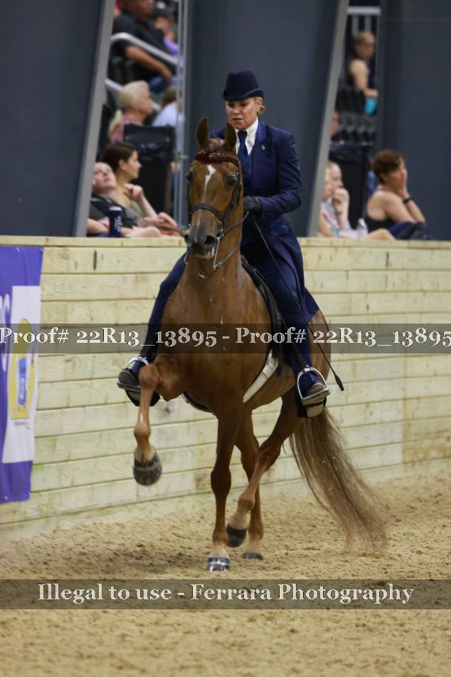 Proof 22R13_13895