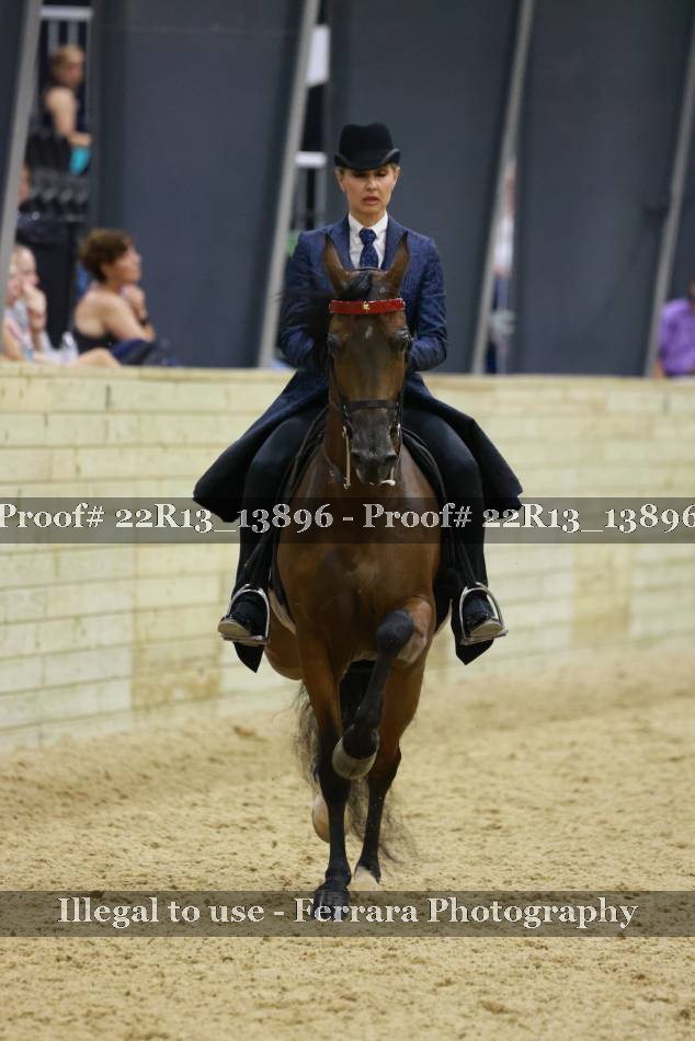 Proof 22R13_13896