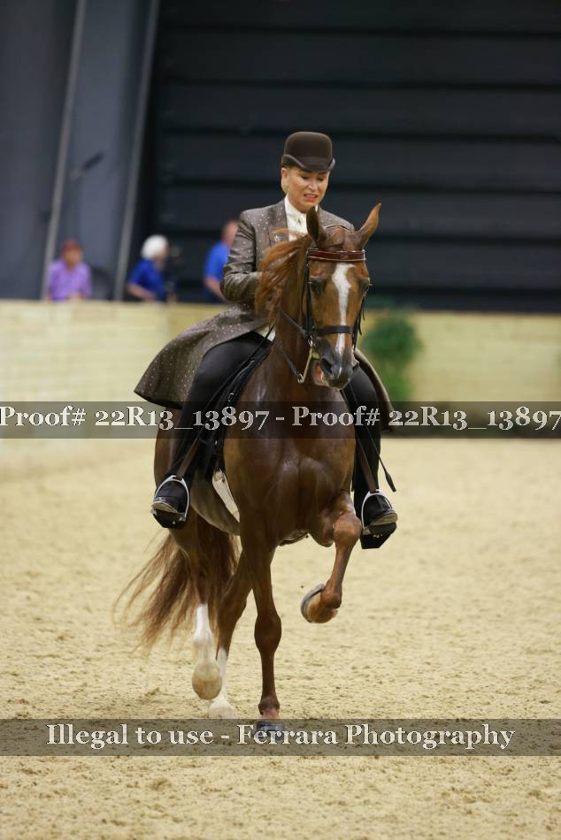 Proof 22R13_13897