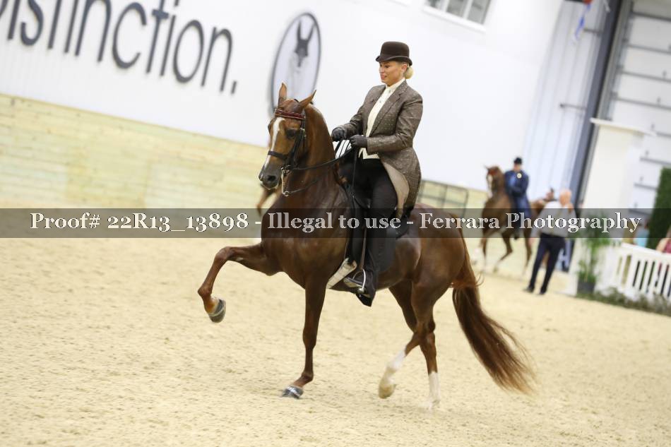 Proof 22R13_13898