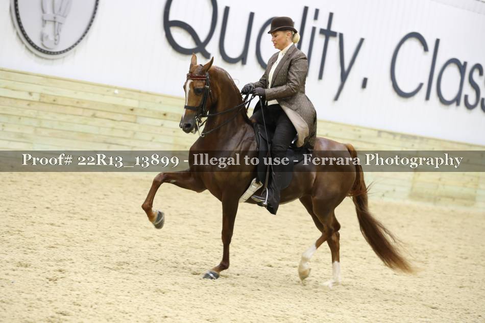 Proof 22R13_13899