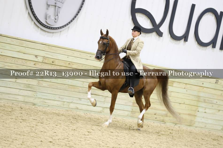 Proof 22R13_13900