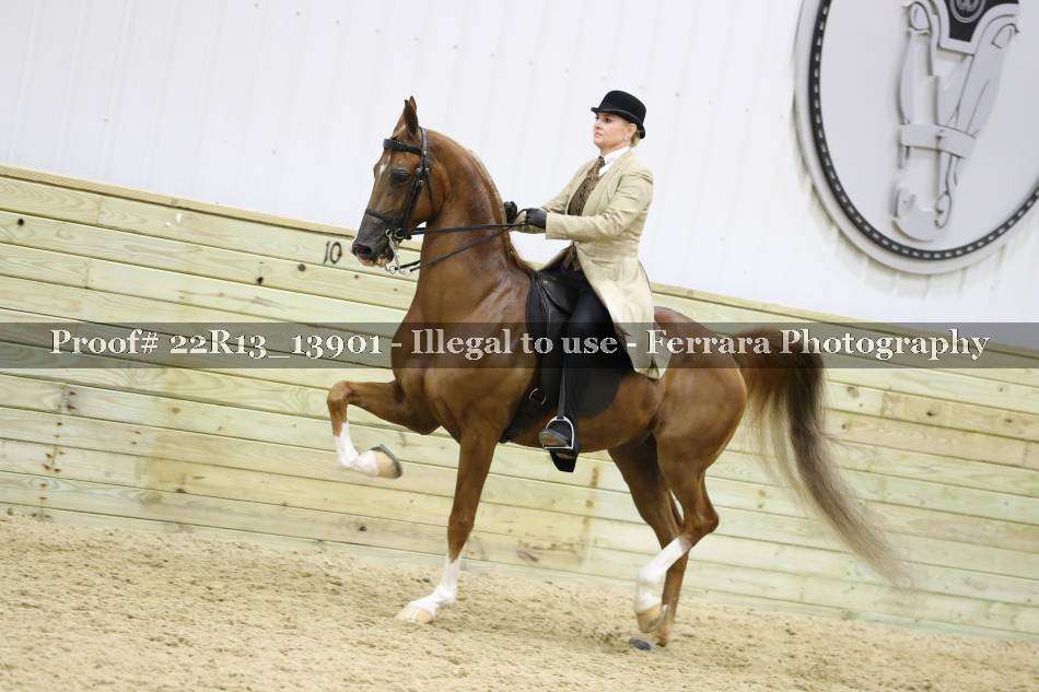 Proof 22R13_13901