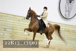 22R13_13901 proof