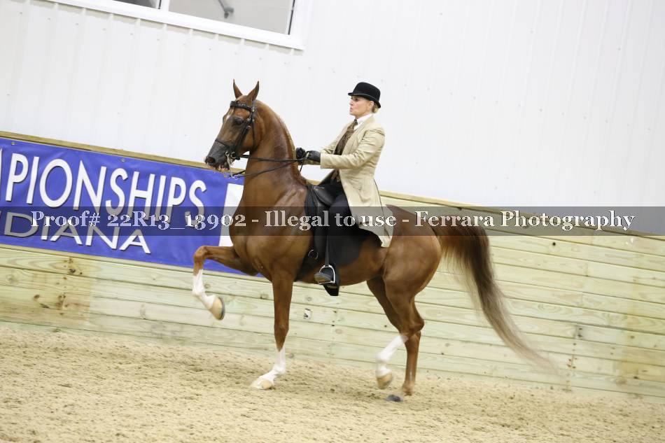 Proof 22R13_13902