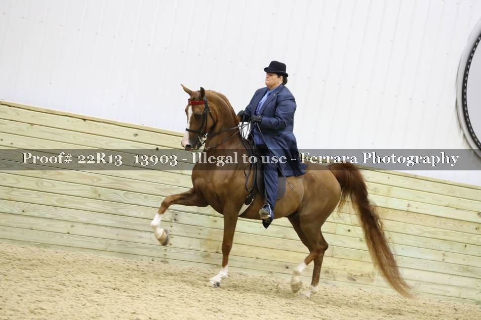 Proof 22R13_13903