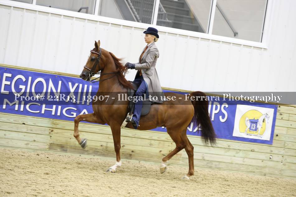 Proof 22R13_13907
