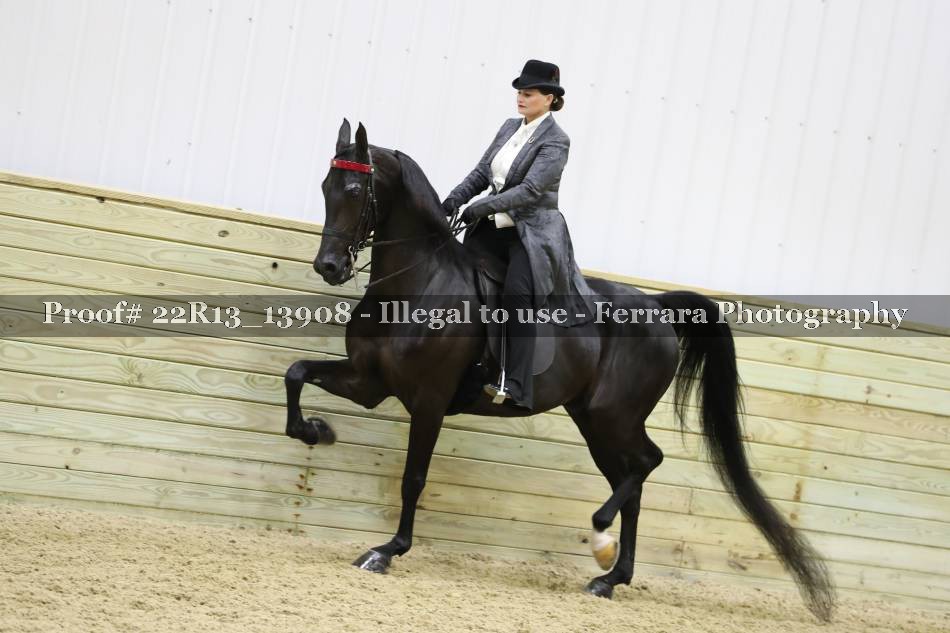 Proof 22R13_13908