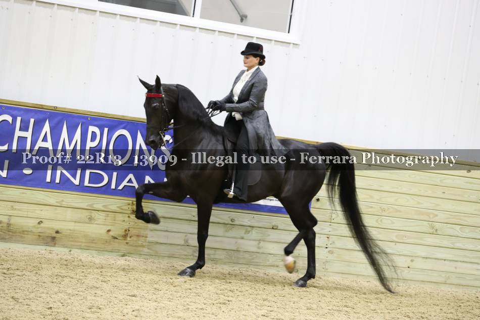 Proof 22R13_13909
