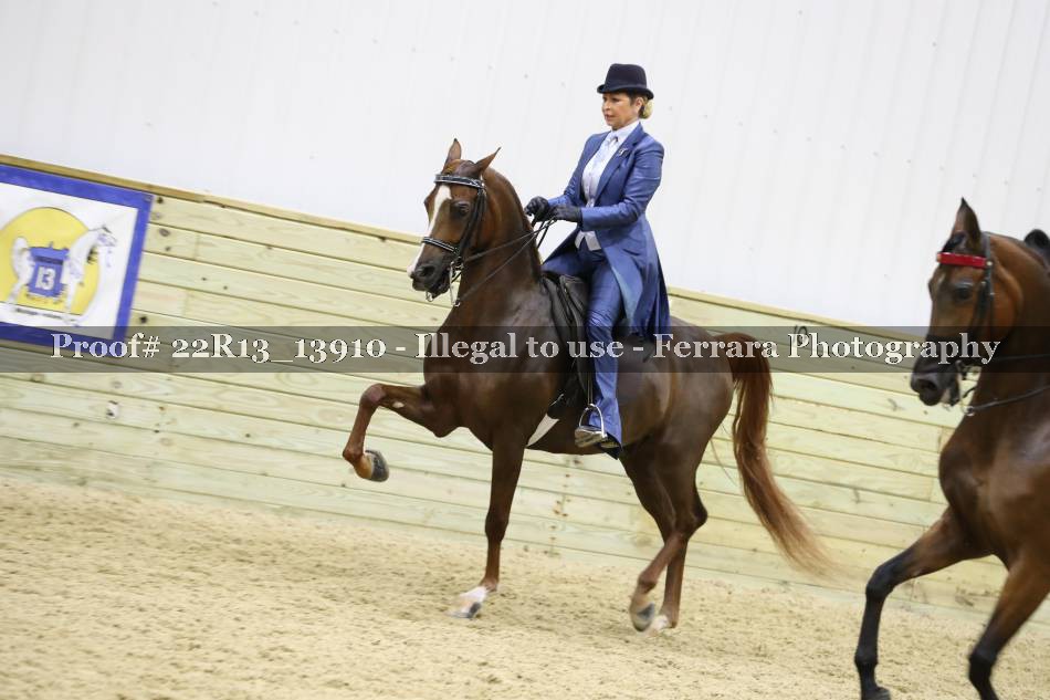 Proof 22R13_13910