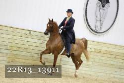 22R13_13911 proof
