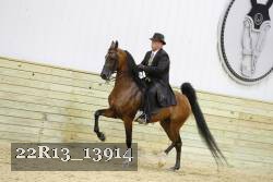 22R13_13914 proof
