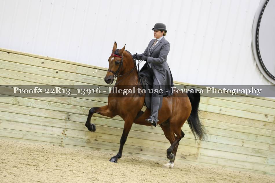 Proof 22R13_13916