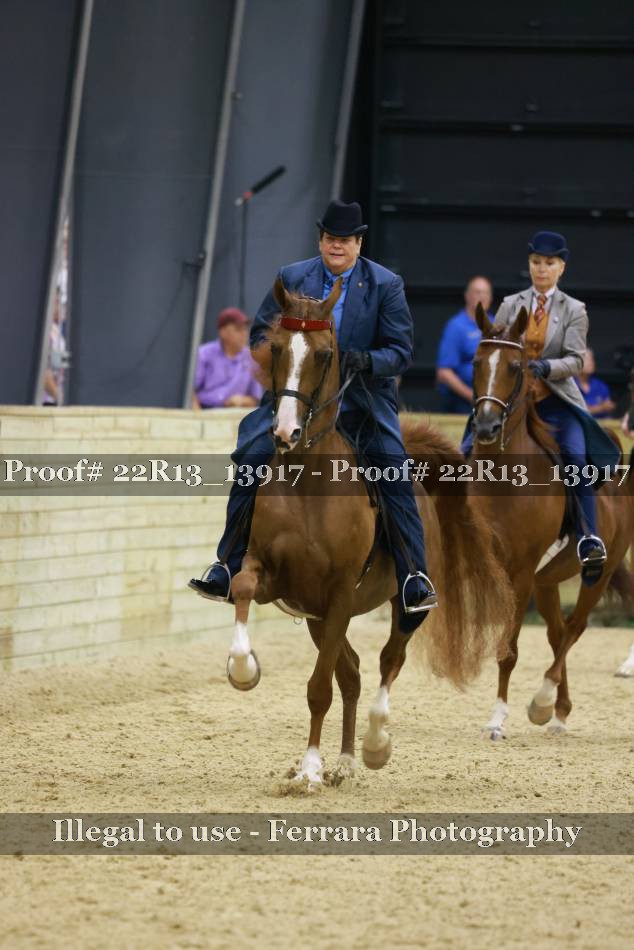 Proof 22R13_13917