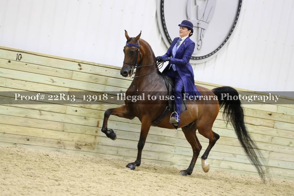 Proof 22R13_13918