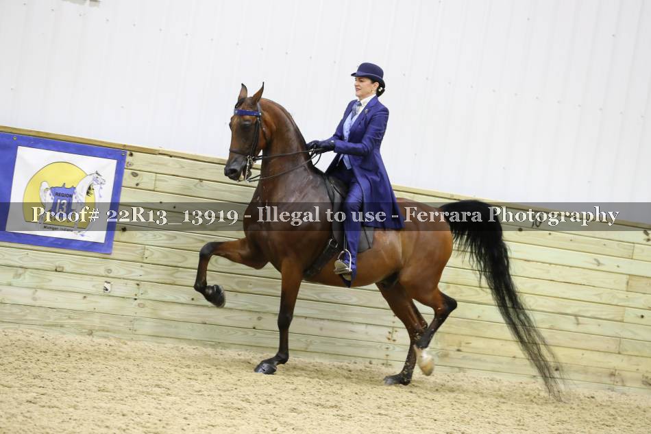 Proof 22R13_13919