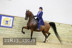 22R13_13919 proof
