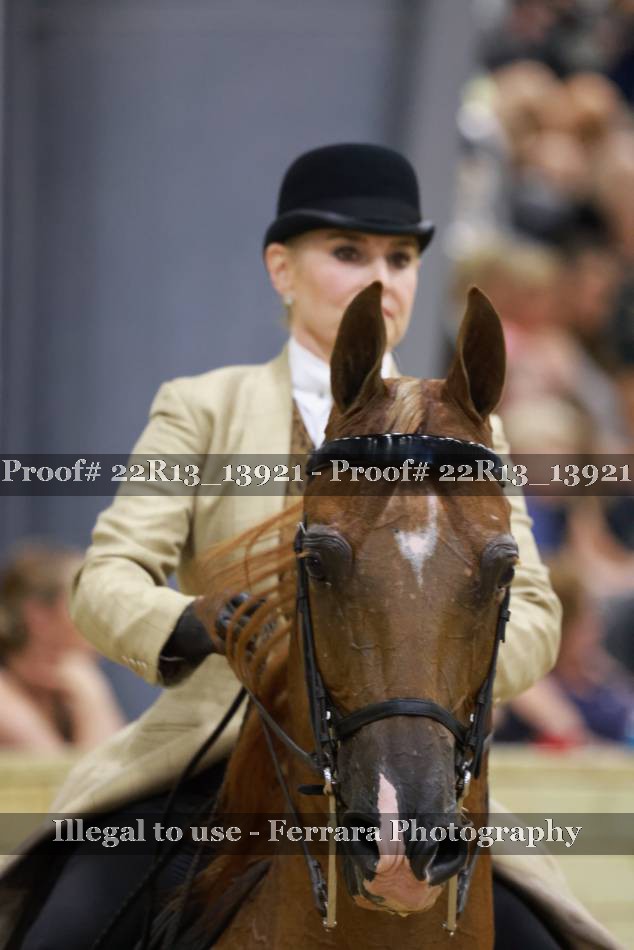 Proof 22R13_13921