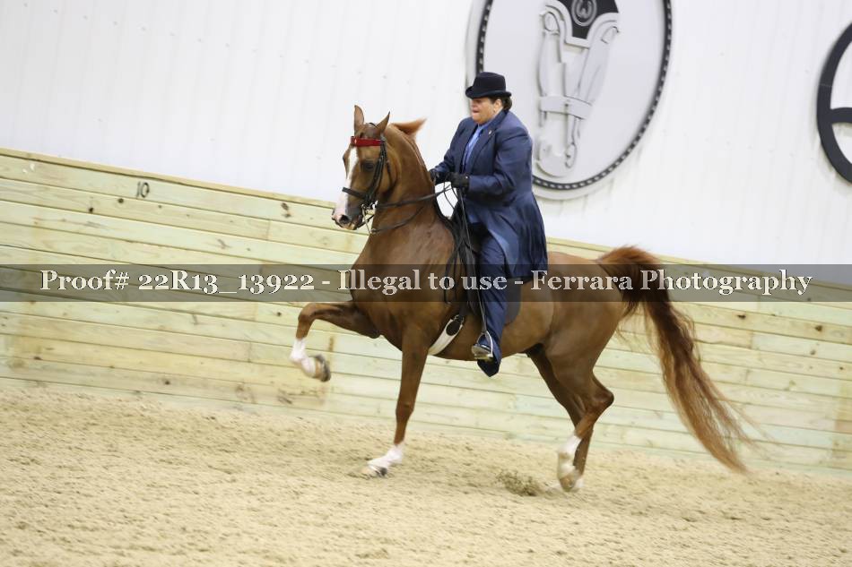 Proof 22R13_13922