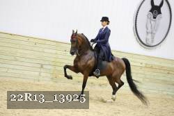 22R13_13925 proof