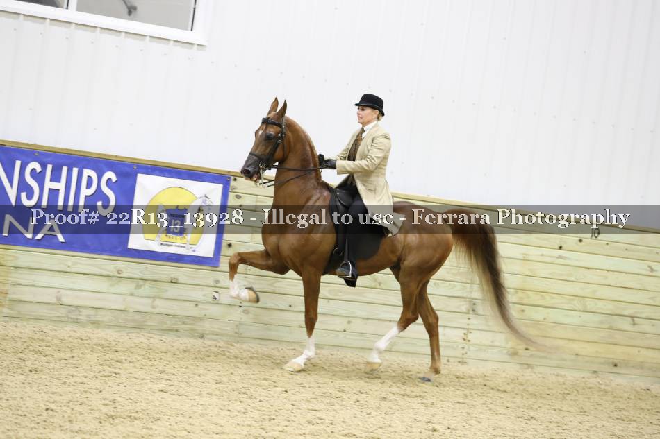 Proof 22R13_13928