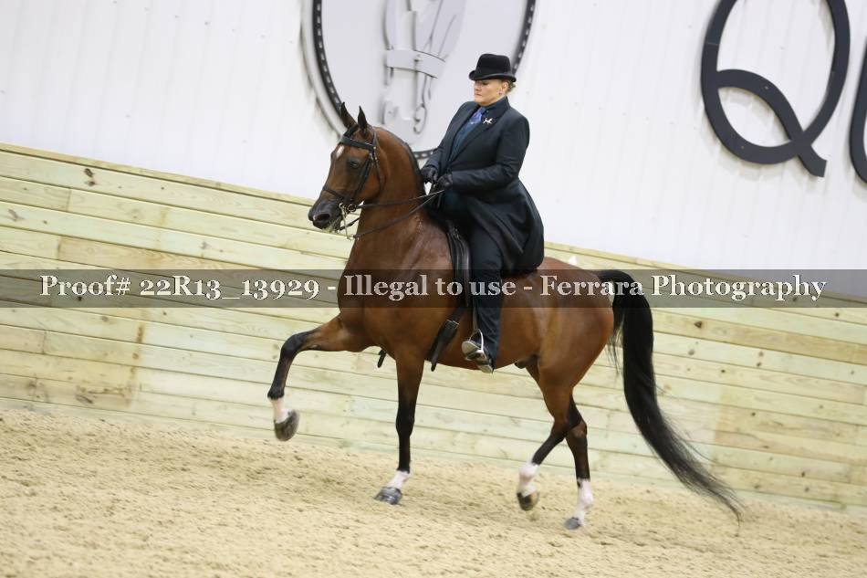 Proof 22R13_13929
