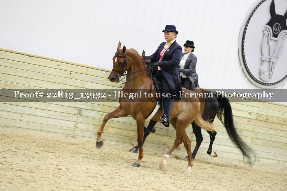 Proof 22R13_13932