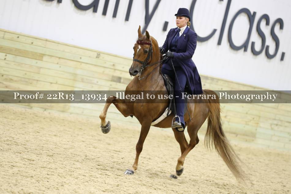 Proof 22R13_13934