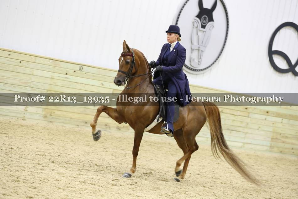 Proof 22R13_13935