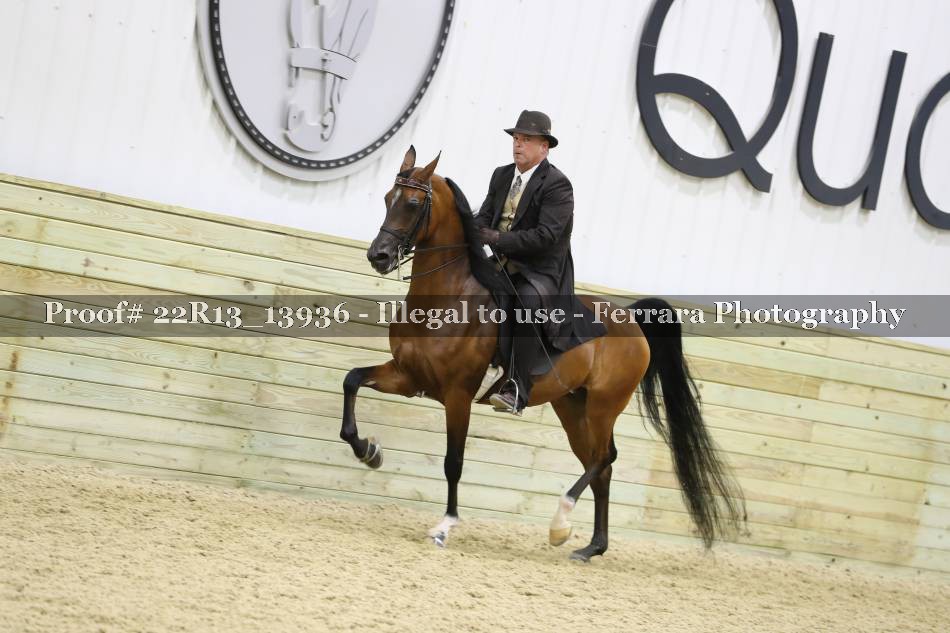 Proof 22R13_13936