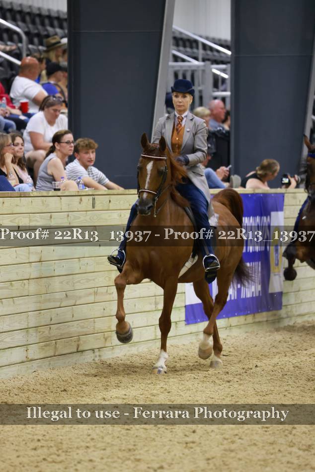 Proof 22R13_13937