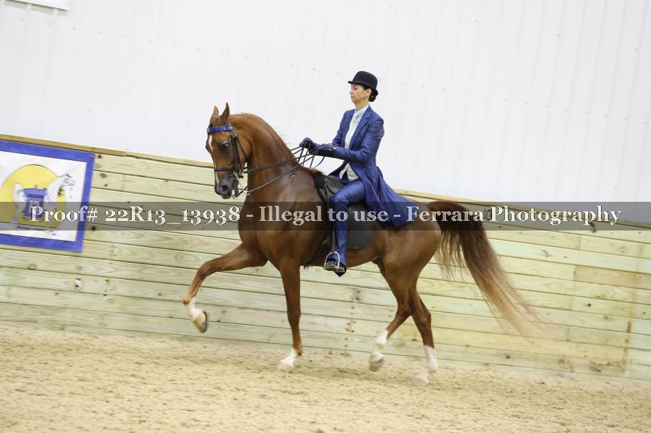 Proof 22R13_13938