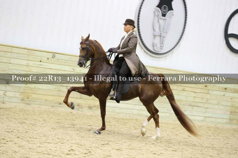 Proof 22R13_13941