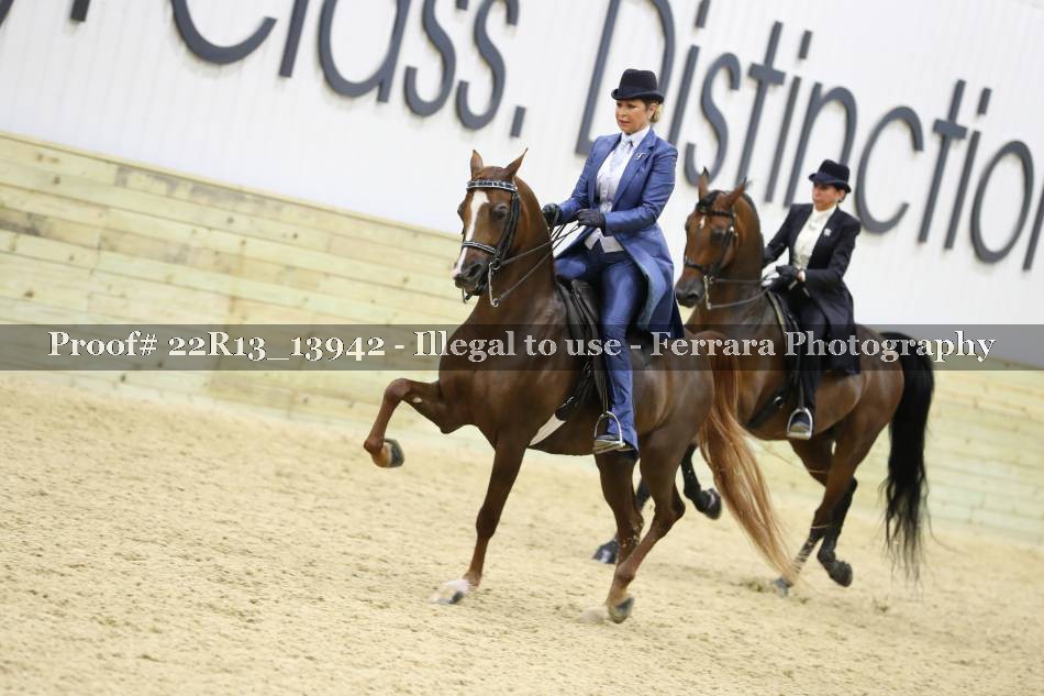 Proof 22R13_13942