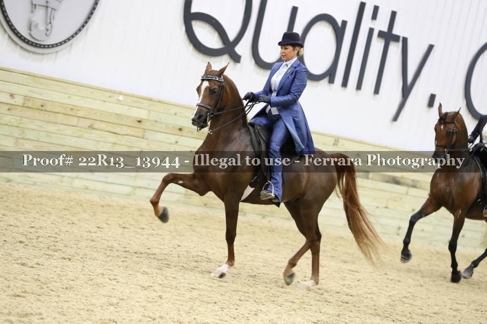 Proof 22R13_13944