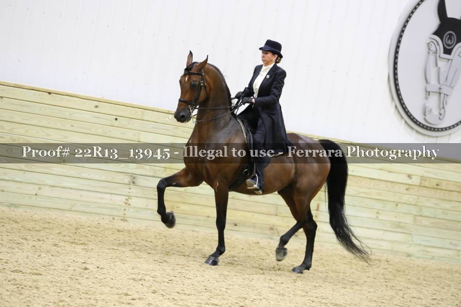 Proof 22R13_13945