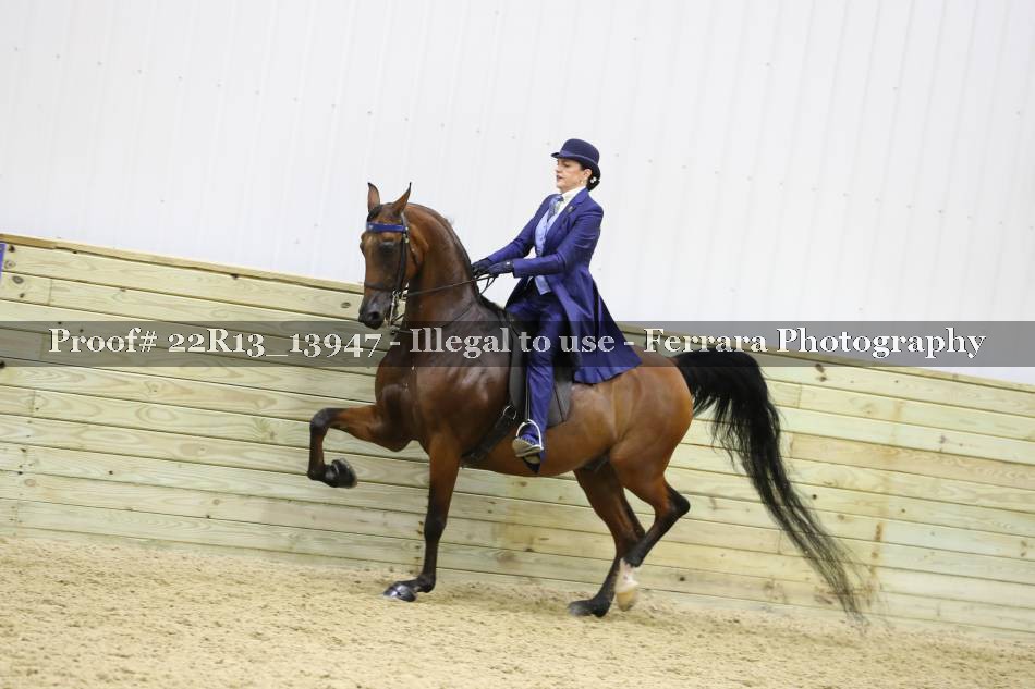 Proof 22R13_13947