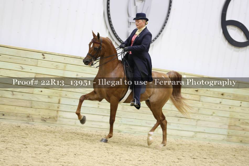 Proof 22R13_13951