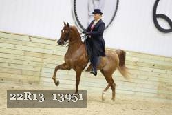 22R13_13951 proof