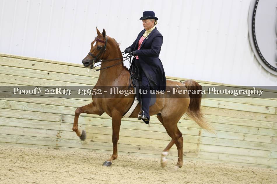Proof 22R13_13952