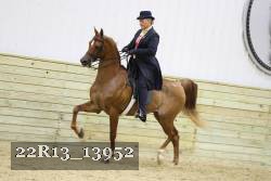 22R13_13952 proof