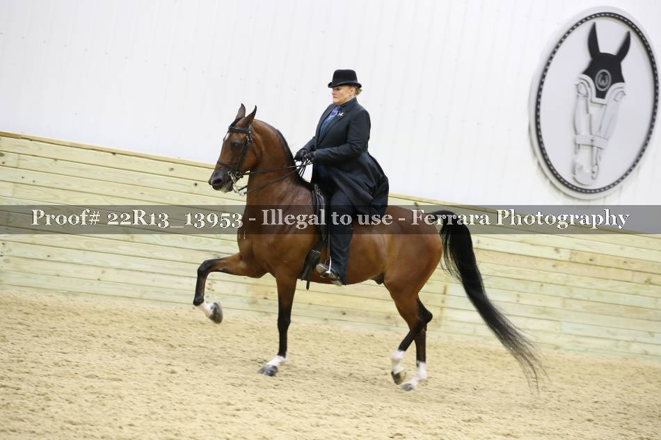 Proof 22R13_13953