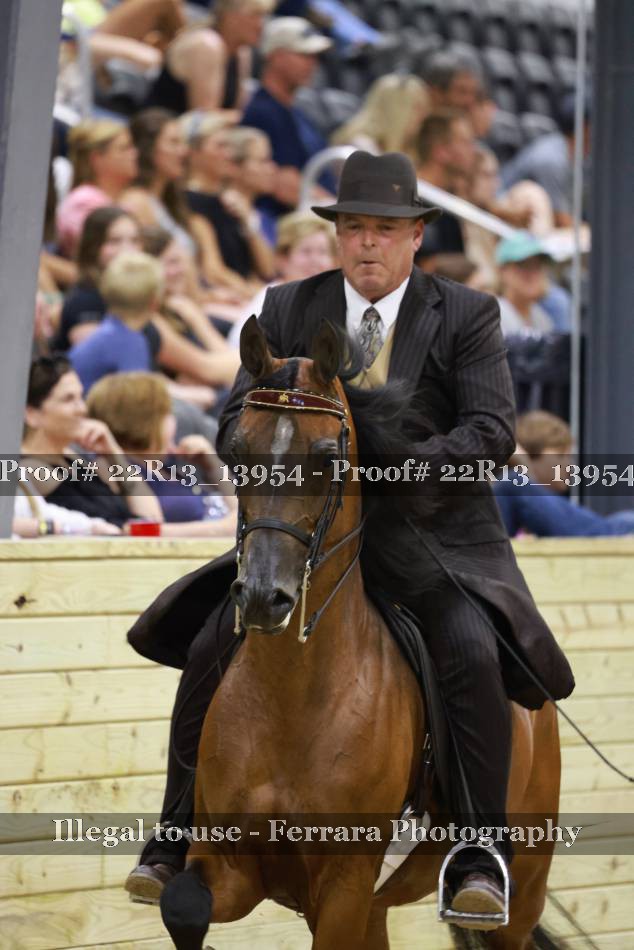 Proof 22R13_13954