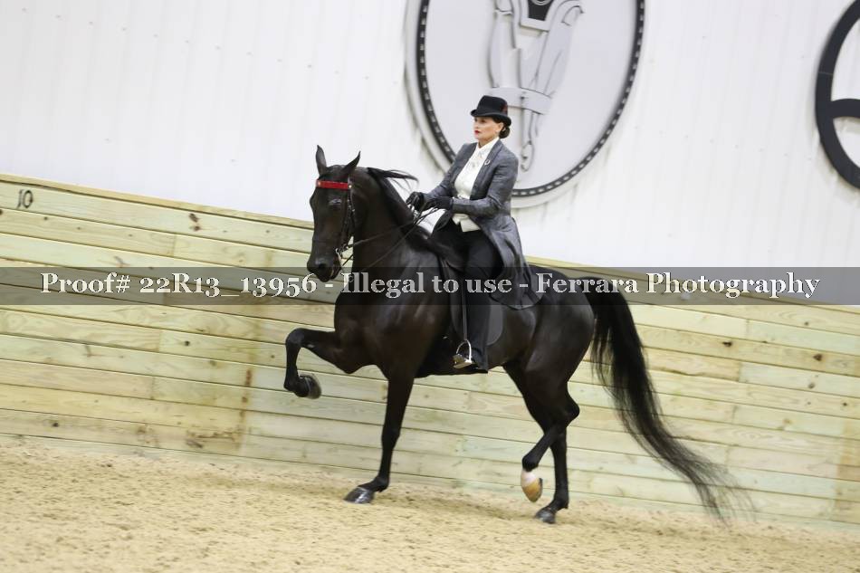 Proof 22R13_13956